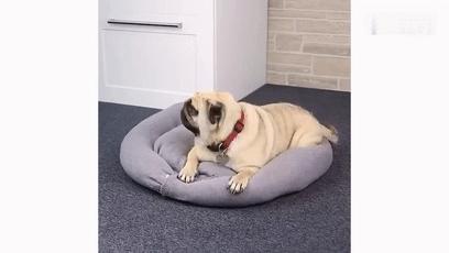 旧枕头正确处理方法,旧枕头不要了剪坏扔了可以么