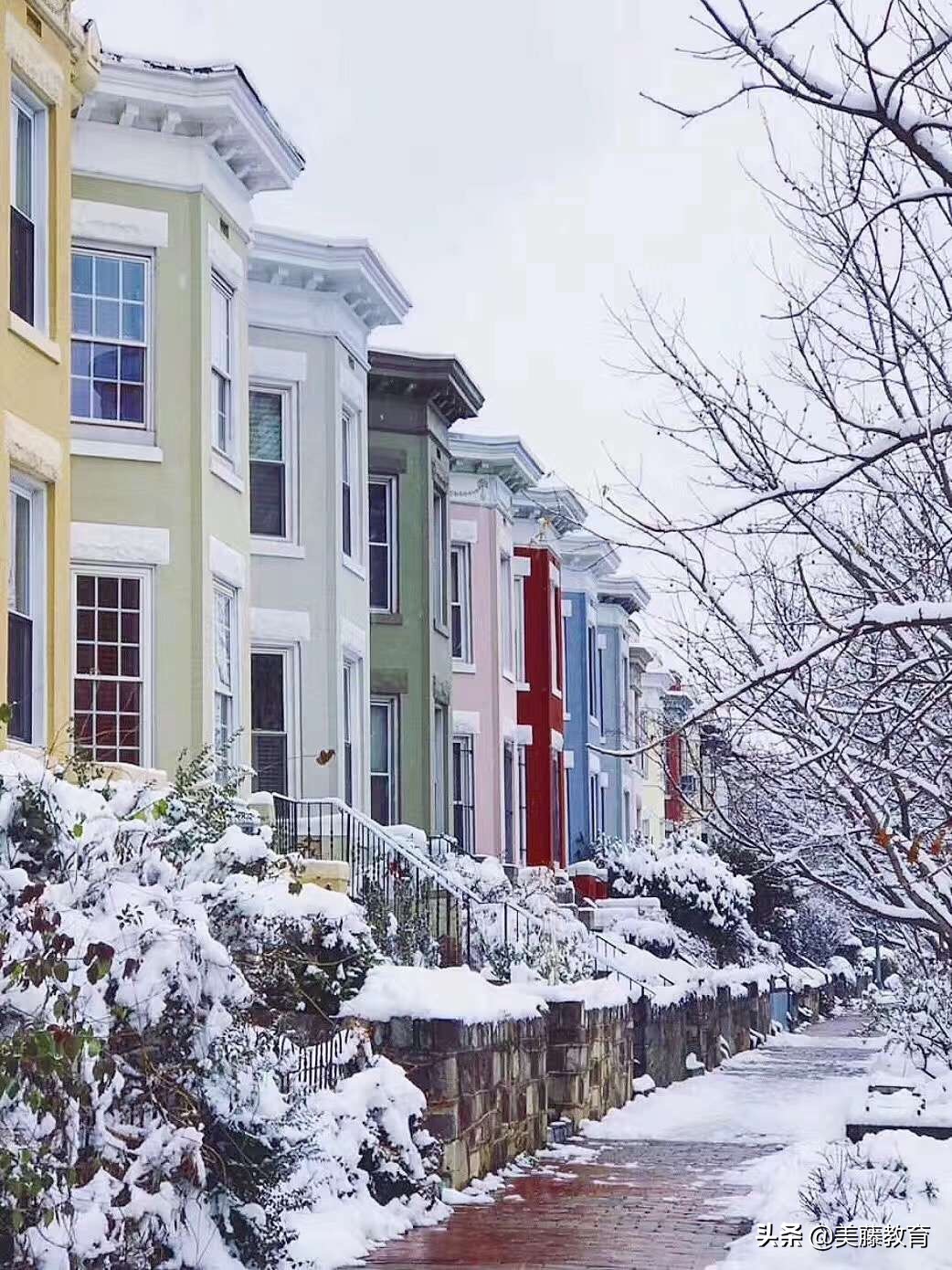 美国有什么稻田大学,在村里的美国名校