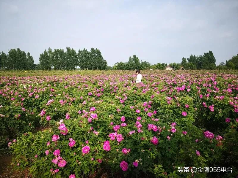 我和我的支部故事通讯稿,我和我的支部传承红色基因