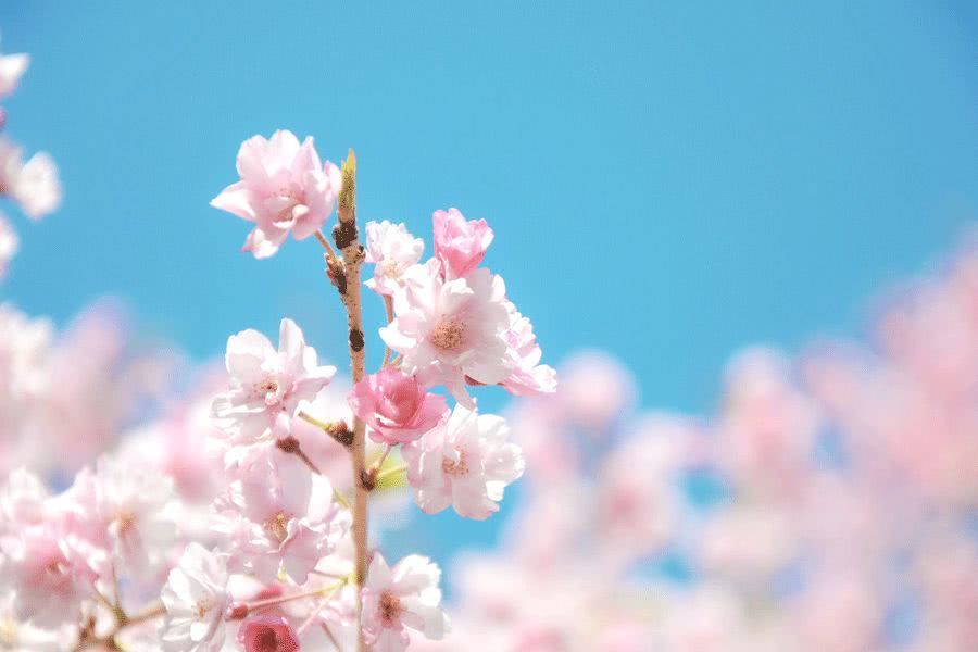 十句经典的情诗,10首绝美情诗