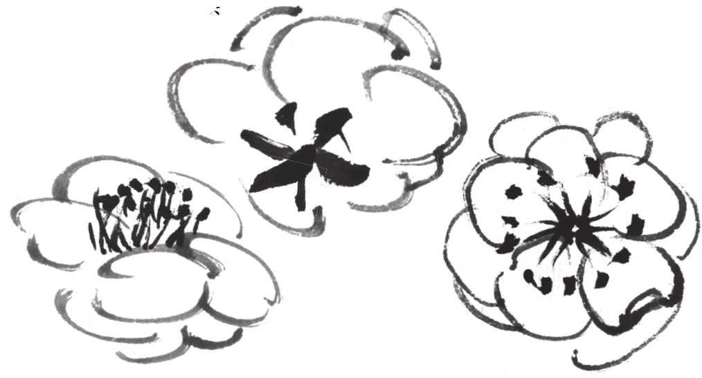 怎么画梅花和梅花树,写意画梅花的画法视频