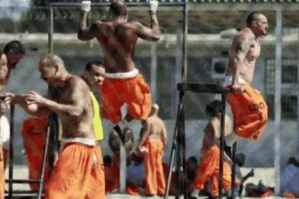 囚徒健身真的假的,囚徒健身书籍为何出名