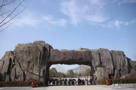 合肥:家住肥东,牛哄哄