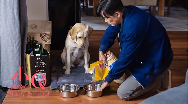 NG次数打破从影记录,任达华的《小Q》本就与众不同