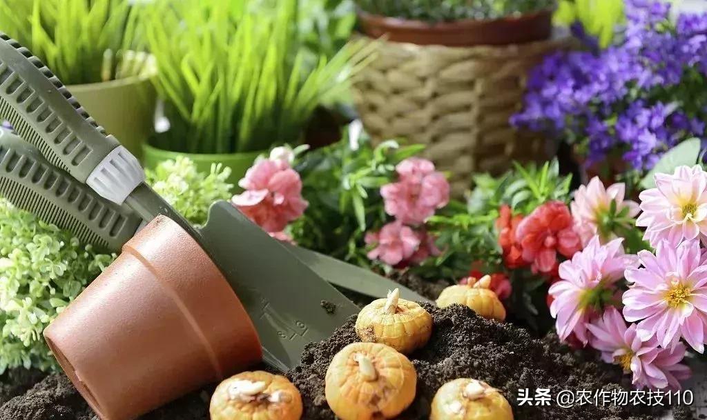 农村无本钱创业22种方法,农村创业100种商机