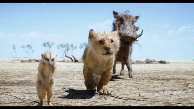 简单聊聊狮子王到底值不值得看,狮子王值得入手吗