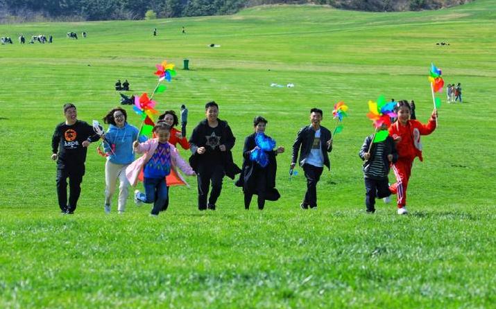 超长记录亲子牧场一日游,暑期草原亲子游攻略