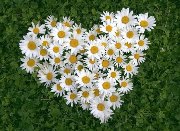 肛门塞异物很刺激？医生忙说：别乱来，快感之后全是悲伤