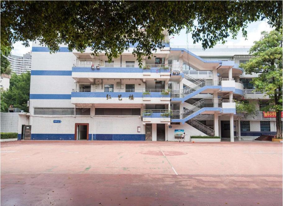 深圳十大优质小学,2023深圳小学优质排名