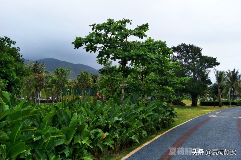 海南潜水旅游攻略一日游,海南亚龙湾游记