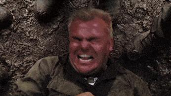 搞笑动图gif熊猫,搞笑动图gif微信表情包