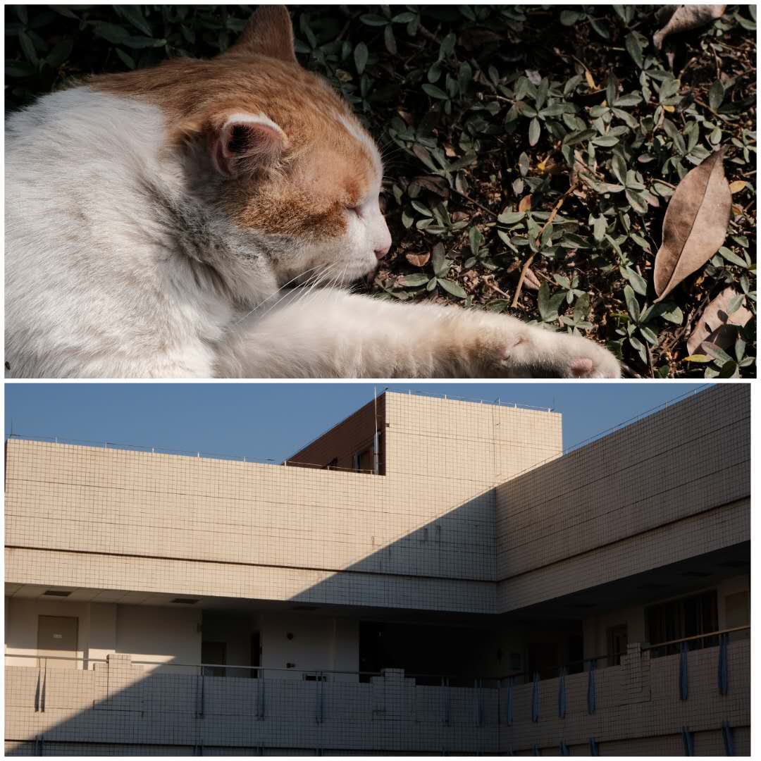 2024年富士xe3,2023富士xe3值得入手吗