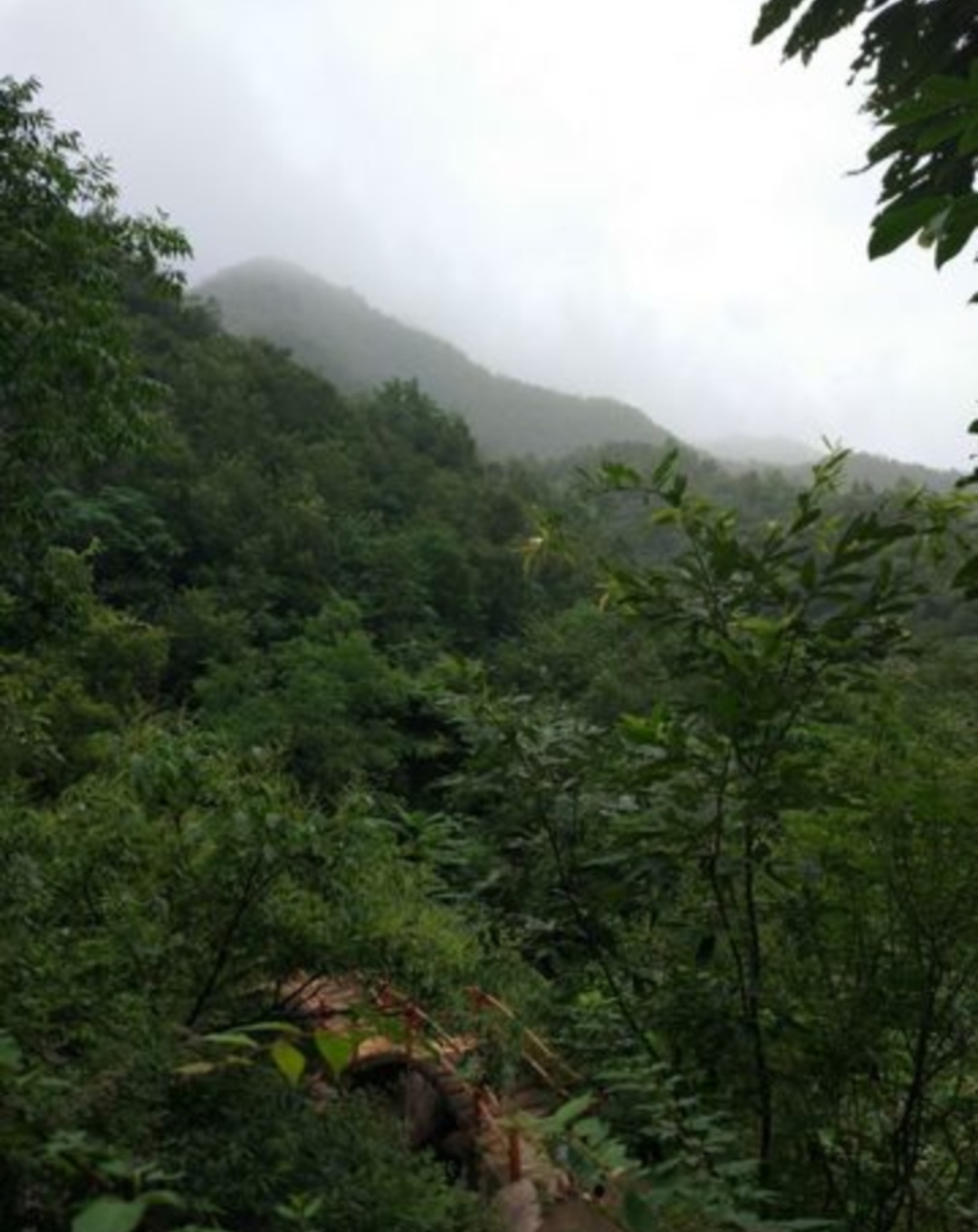 好运谷风景区在维护吗,好运谷风景区好玩吗