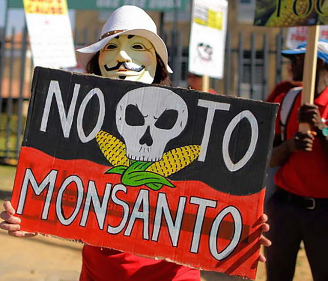 用种子操控全世界粮食?邪恶龙头孟山都,因何成了过街老鼠?