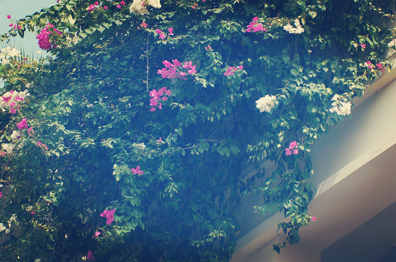 2019年全国卷1高考语文真题,2019全国新课标一卷语文答案详解