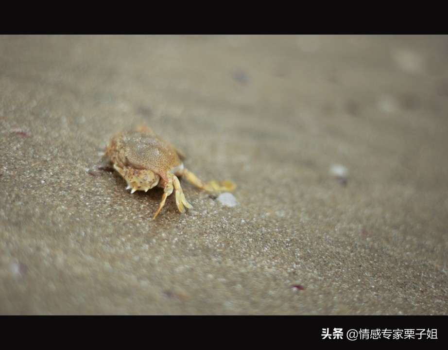 栗子姐每日情感问答100条,情感咨询栗子姐