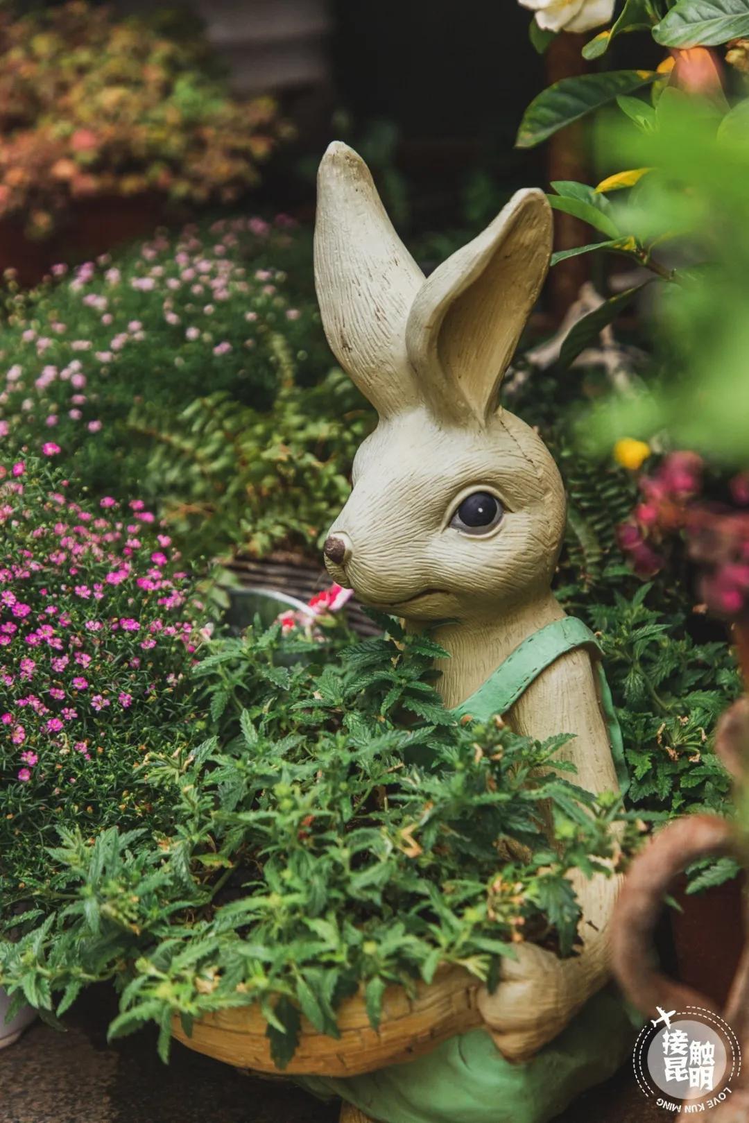 逛逛园博花鸟市场,园博花鸟市场攻略