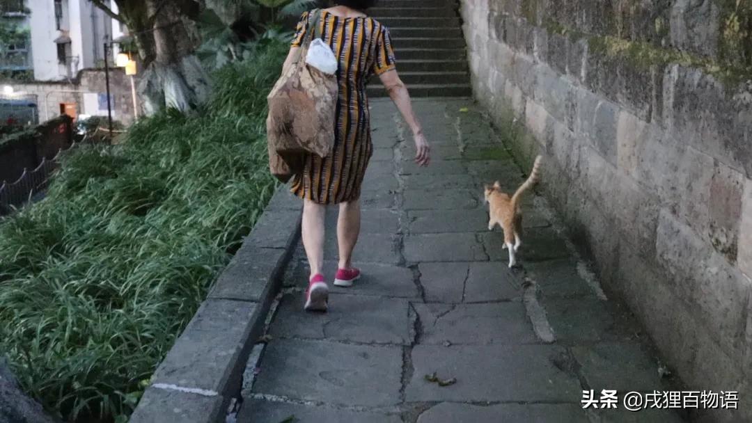 转发送粮，这次的E宠公益日记~看哭了