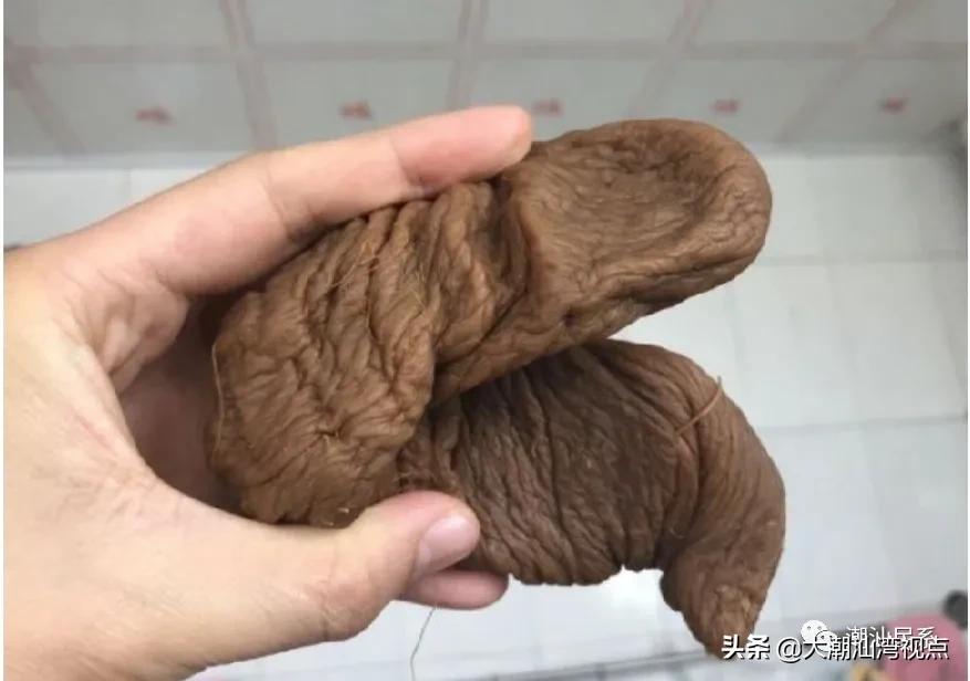 猪朥粿溪南网红,澄海猪朥粿模具