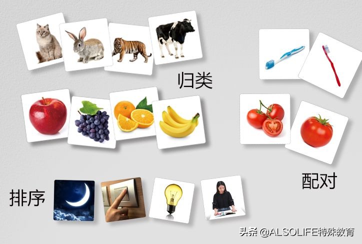 返场呼声最高，经典实用的大黑盒语言训练名词动词卡，终于有货了