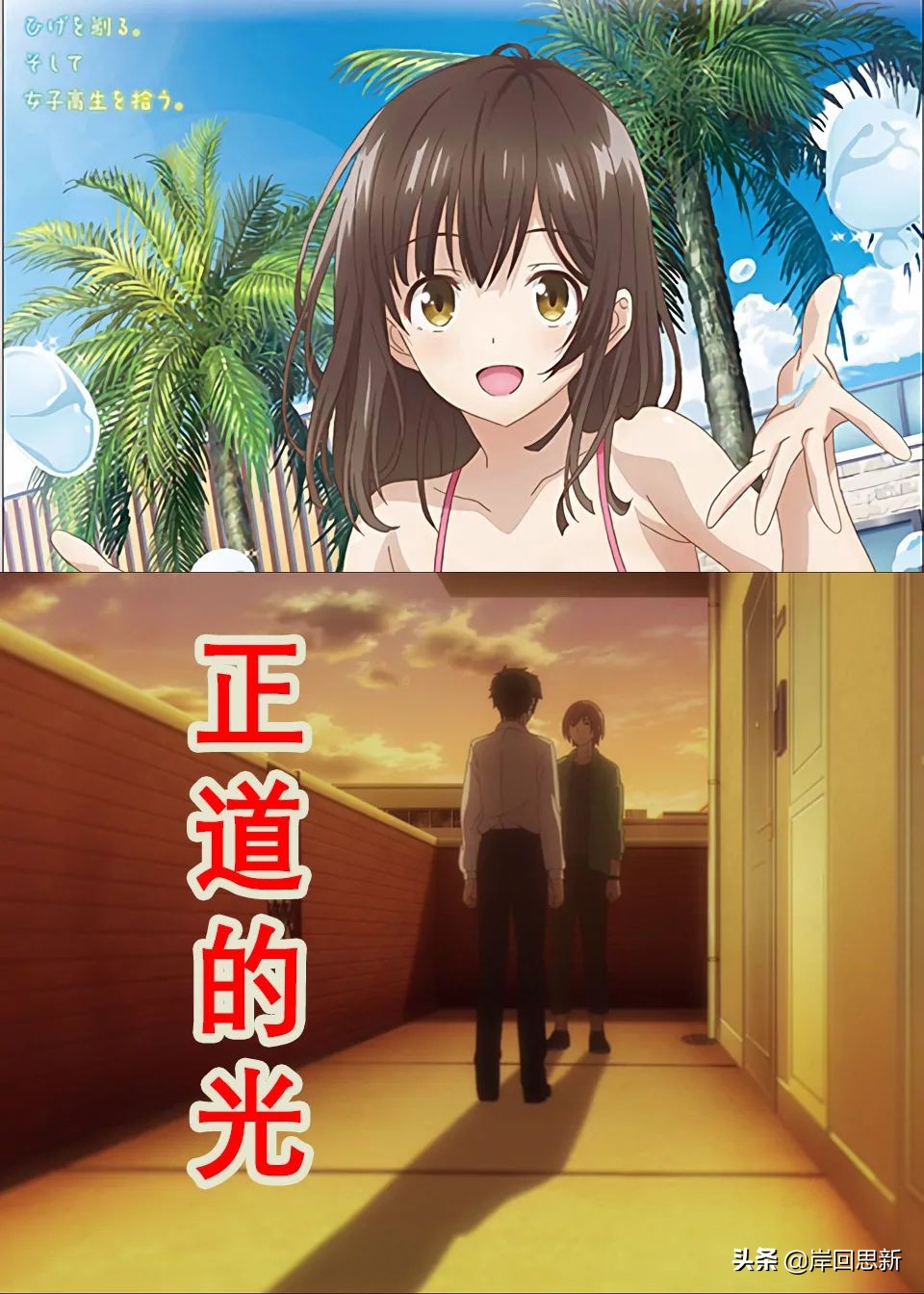 沙优最后为什么回去了,沙优做过的错事