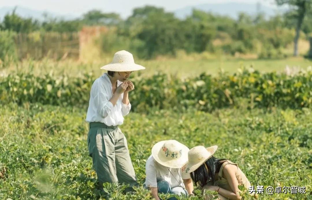 戛纳即将闭幕！但这座美得像电影海报的小镇不能错过