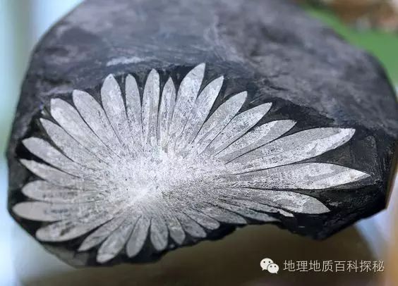 鬼斧神工地质遗珍视频,鬼斧神工的地质