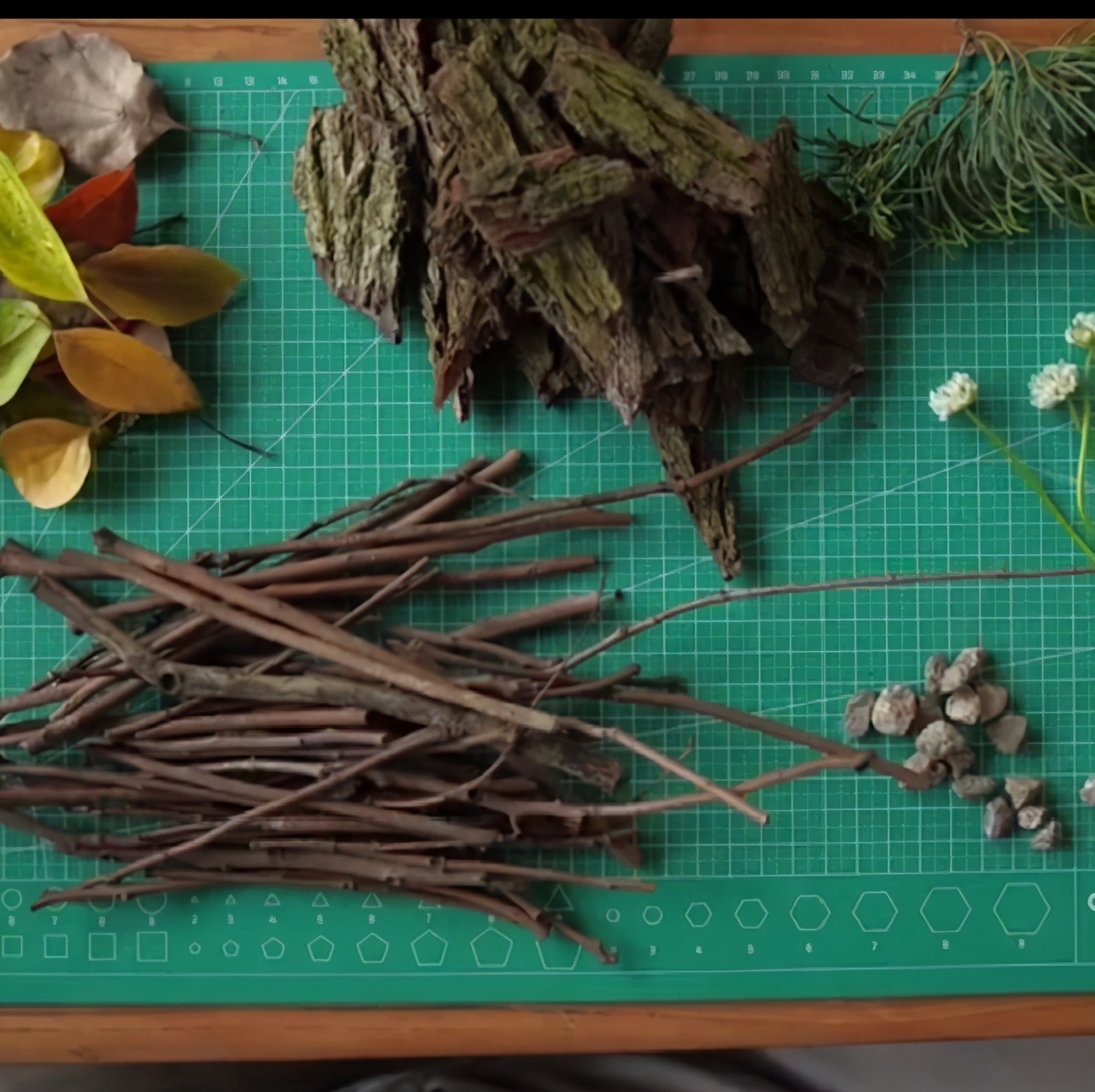 春日自然教育,春日茶语正能量