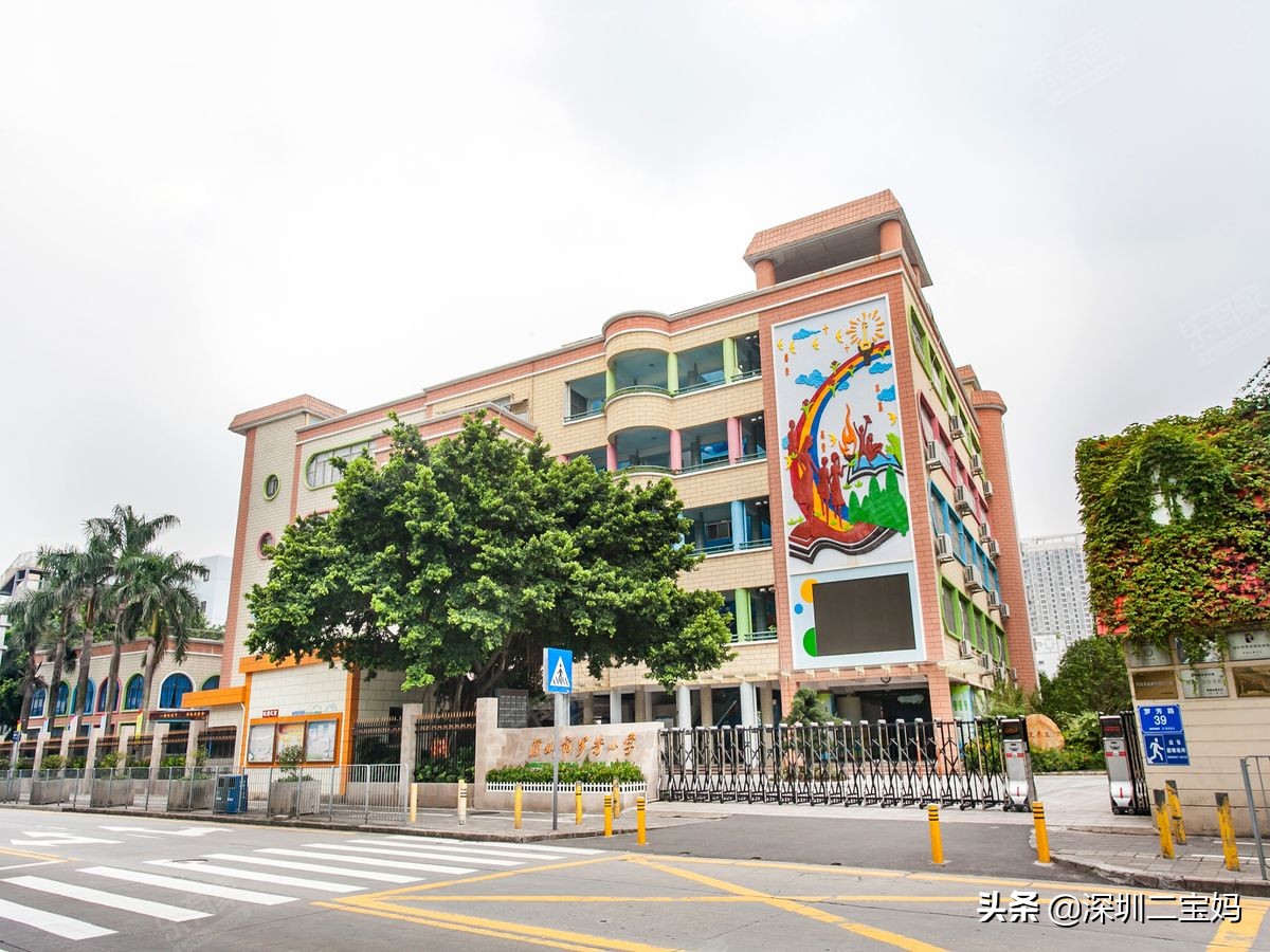 深圳罗湖区九大教育集团,深圳罗湖有哪些好的教育集团