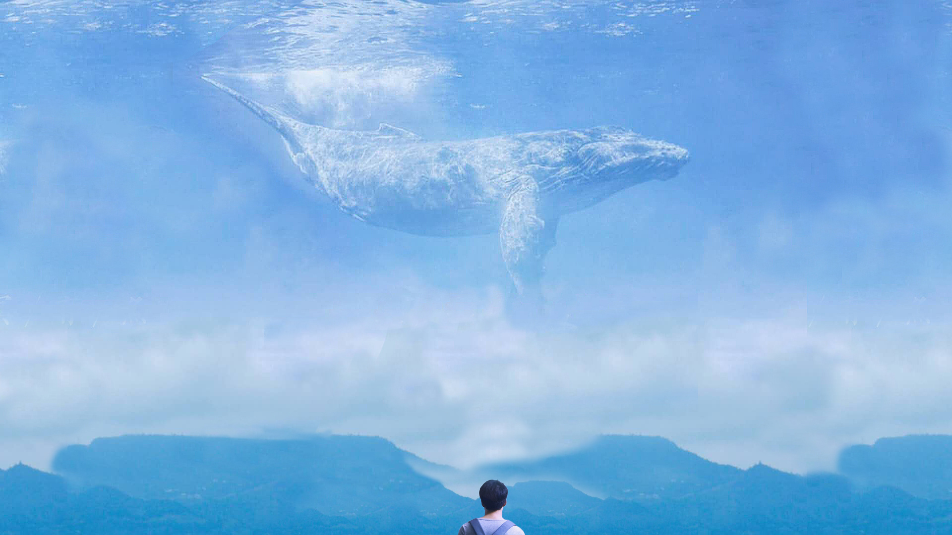 儒释道是一家最大的误会,儒释道之间的利益斗争