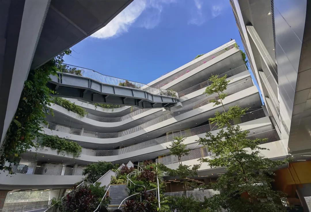 理论中心组进行集体学习,理论学习中心组集体学习计划