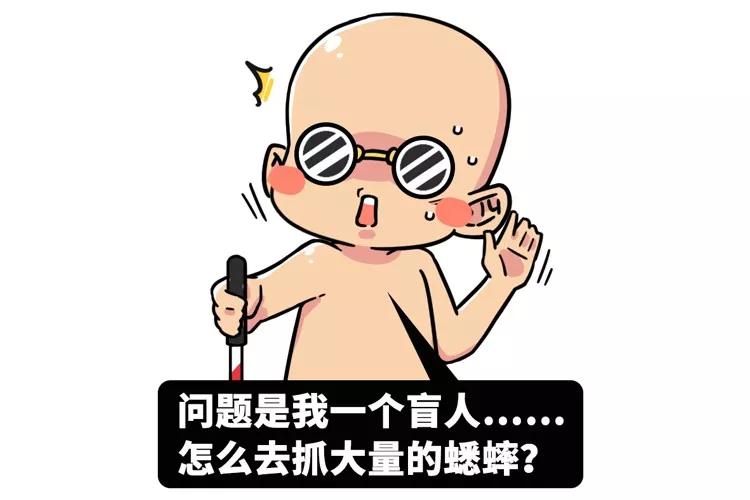 用洋葱加什么可以减肥,用洋葱减肥方法