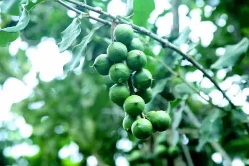 抗初老面膜平价推荐,抗初老补水面膜