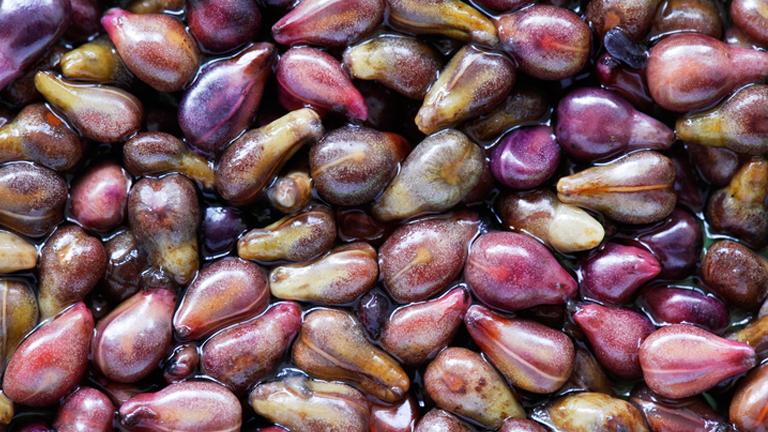 胶原蛋白葡萄籽和vc怎么吃,肌肤秘钥胶原蛋白葡萄籽