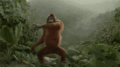 什么?你怎么能露汗毛呢?