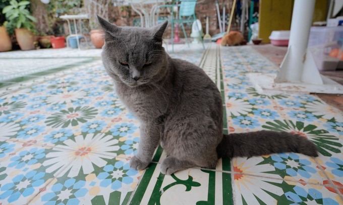 广州情侣自驾一日游推荐,广州浪漫自驾