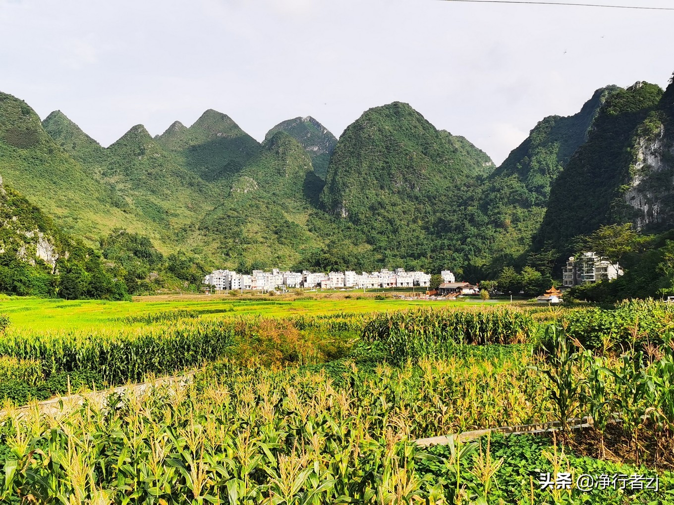 「原创」八桂寻宝（十六）巴马：镶嵌在大地上的草书