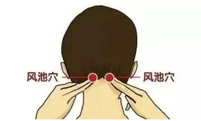 湿气不除，百病缠身！养生祛湿“宝典”助你轻松排出体内湿毒