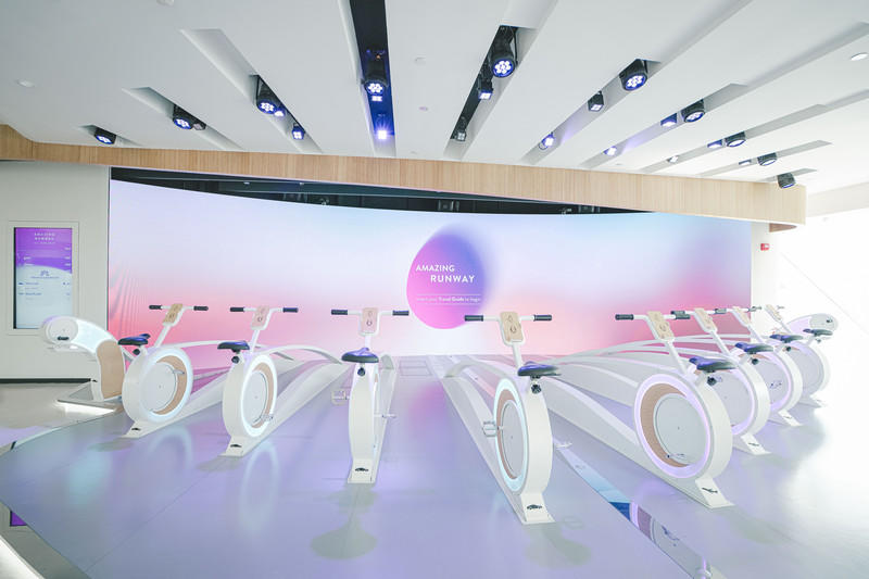 一人一猫环游,一人一猫旅行