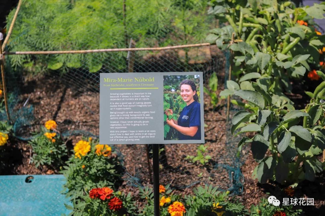 二木带你游花园|邱园（kewgarden）离我们到底有多远？