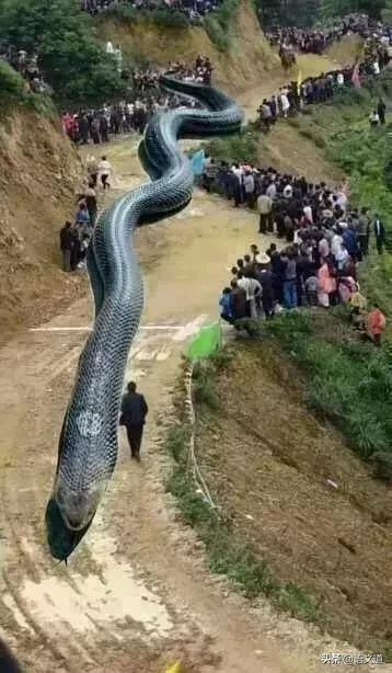 盘点近期9大谣言千万别信,这10条谣言坑了多少年