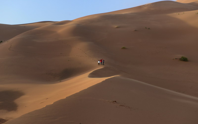 撒哈拉沙尘暴照片,撒哈拉沙漠沙尘暴实拍