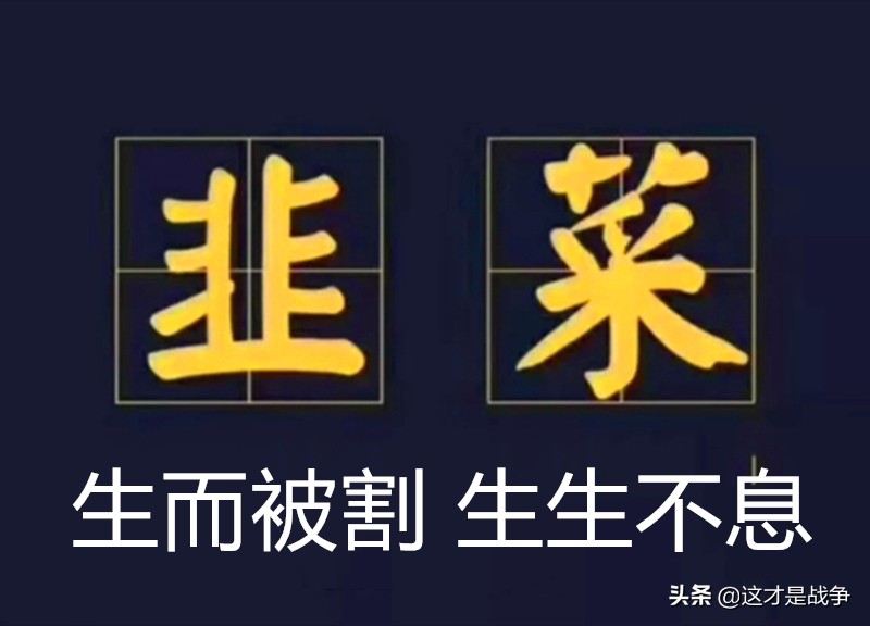 醒醒吧！别在被“爱国大V”和他们的“爱国生意”割韭菜了