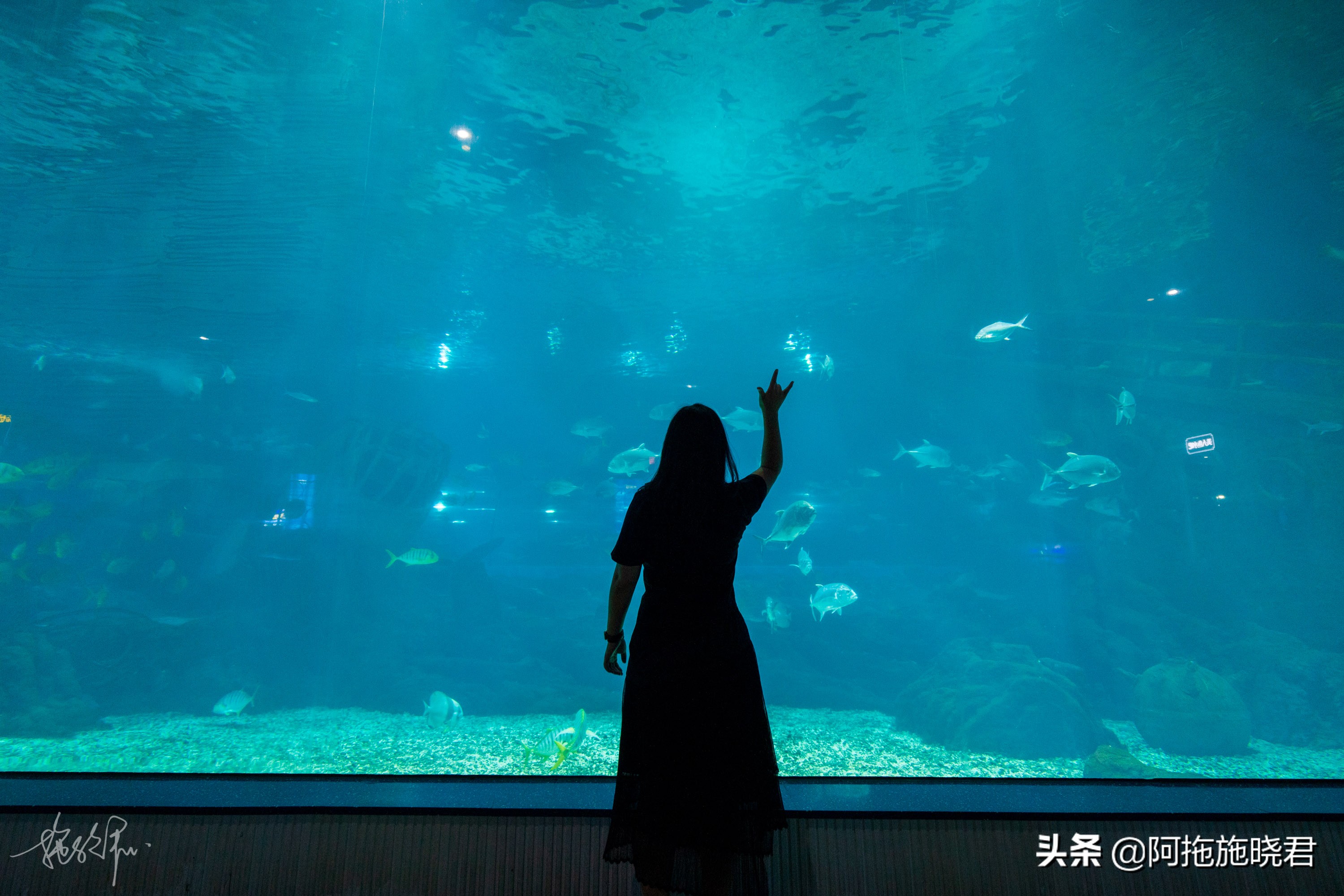 遇见福州仓山,遇见福州创作原声稻香