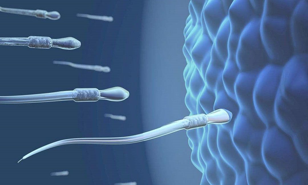 “受精卵”着床时，身体总会有反应，你发现了吗？