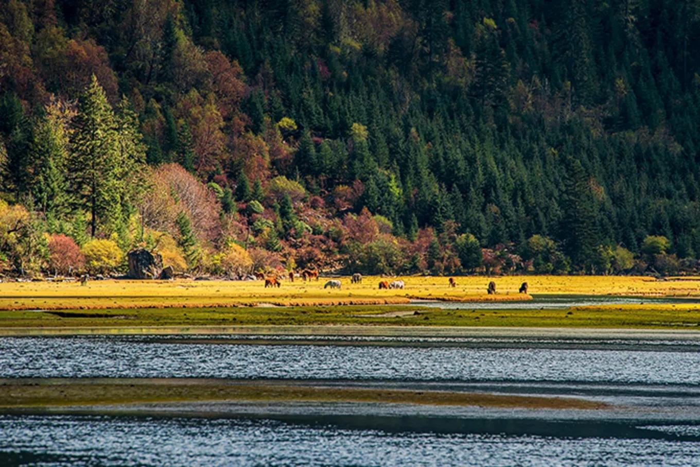 去甘孜和阿坝哪个风景更好,8月川西甘孜和阿坝