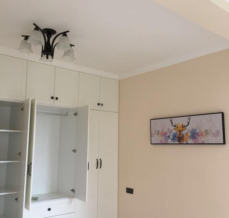 三个月装修成果,装修全屋乳胶漆颜色推荐