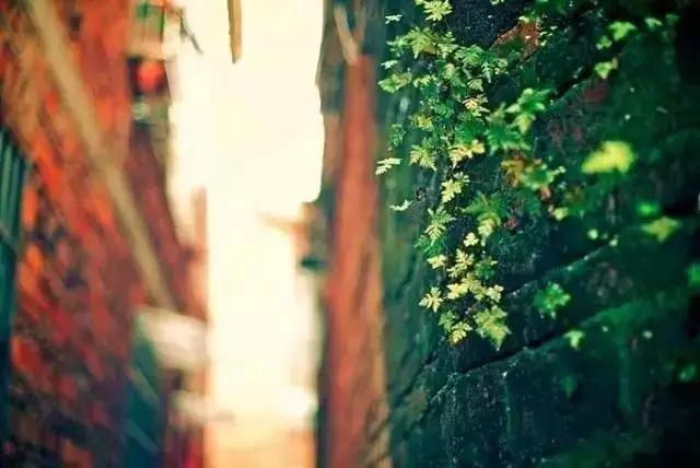 福建最宜居小城,福建值得去的小镇