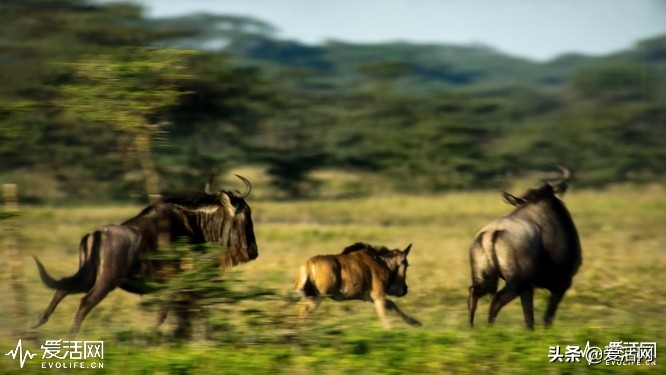 在家可以享受影院级的震撼视频,在家享受影院效果