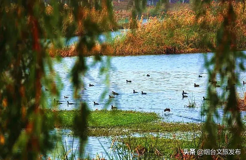 大自然打翻了调色板的唯美句子,烟台自然景点